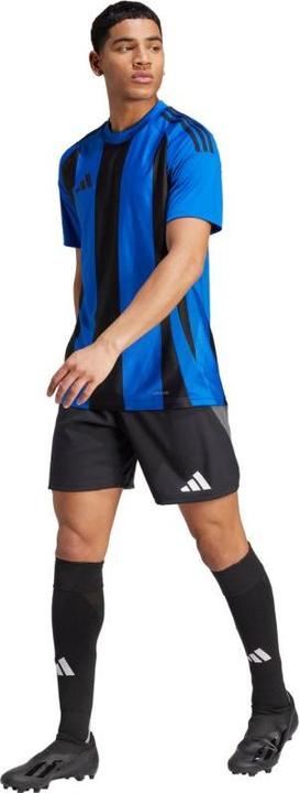 Actual product image Adidas Koszulka męska Striped 24 Jersey niebiesko-granatowa IW2147 S (S)