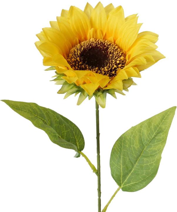 Immagine prodotto Boltze Home Fiore a stelo (8 cm)
