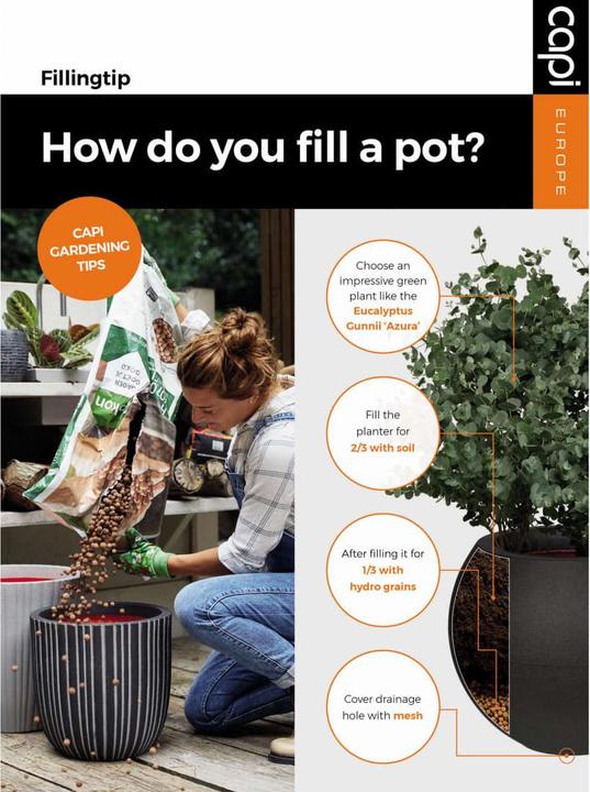 Actual product image Capi Tutch Pot (30 cm)