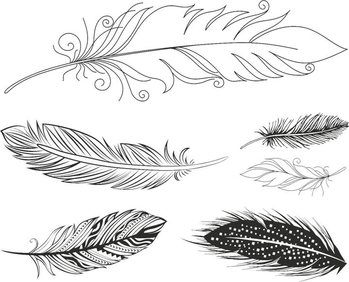 Immagine prodotto Heyda Federn