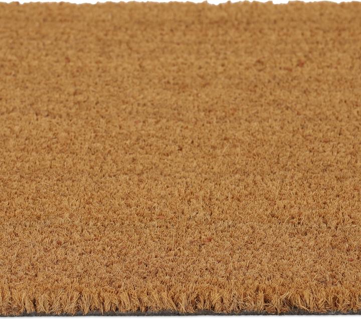 Image du produit Relaxdays Paillasson (60 x 40 x 1,5 cm)