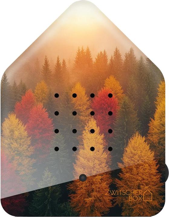 Produktbild Angela Bruderer Zwitscherbox «Wald»