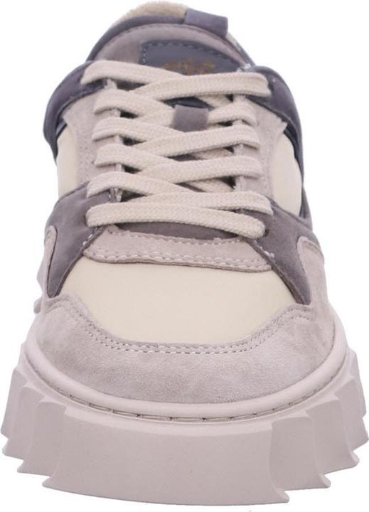 Image du produit Apple Of Eden AW24-LIMA 28 (41)