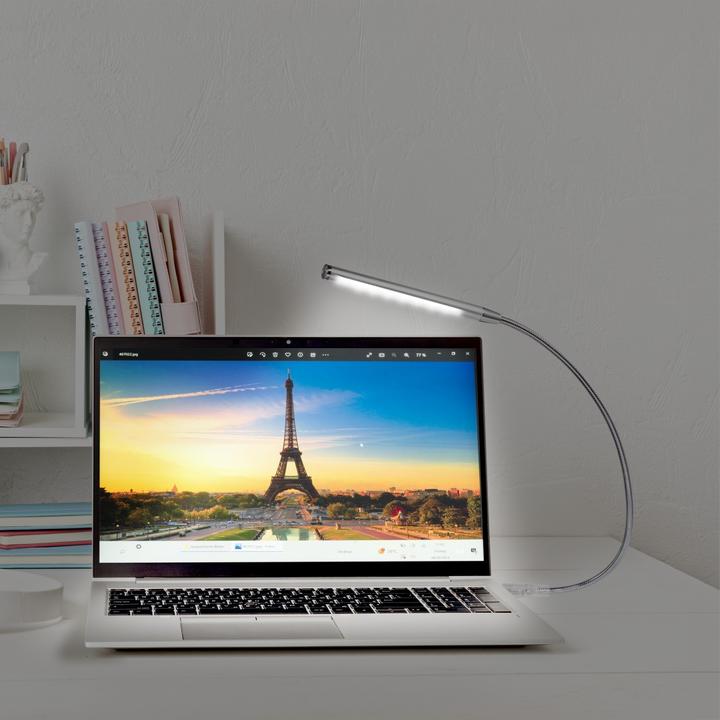 Produktbild Hama Schwanenhals