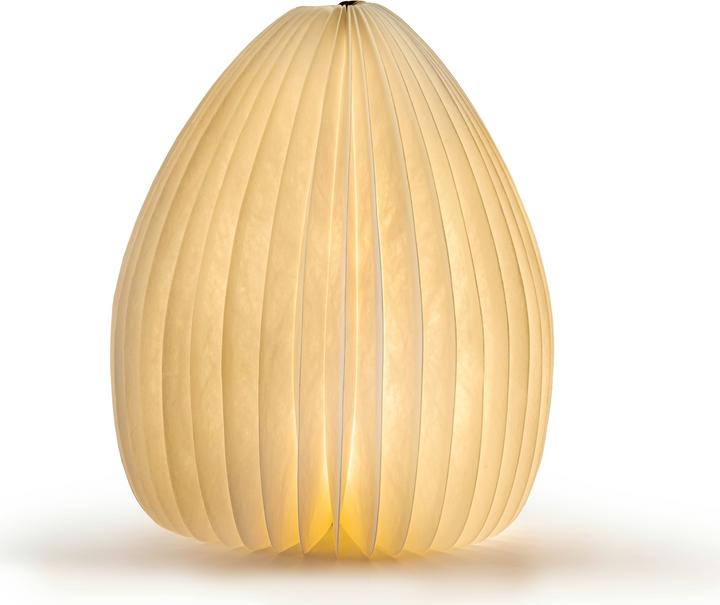 Actual product image Gingko Smart Vase Light