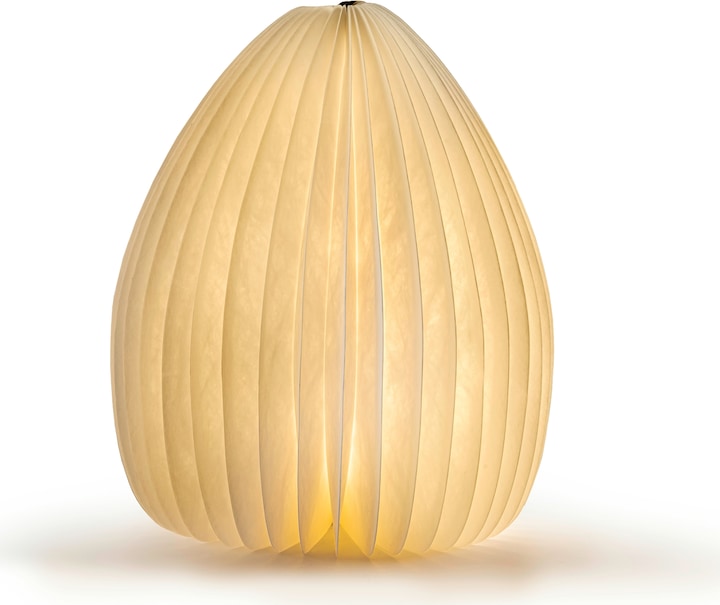 Actual product image Gingko Smart Vase Light