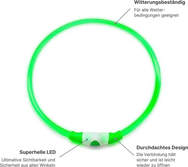 Actual product image Hermex LED dog collar (Dog, General)