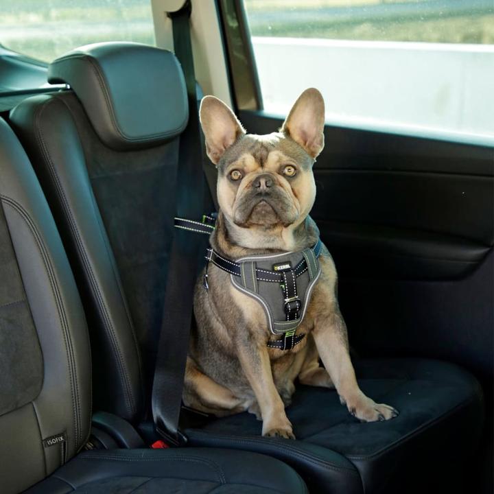 Produktbild Kerbl Autosicherheitsgeschirr (Hund, Reflektoren, Komplett zu öffnen)