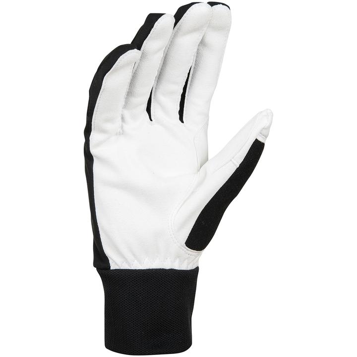 Produktbild Daehlie M Glove Race Warm (10)