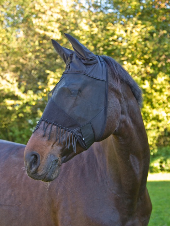 Actual product image Kerbl Fly mask with ear protection and nylon cords