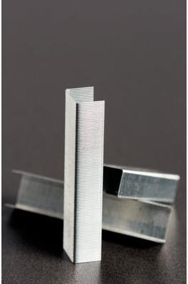 Actual product image Rapid Standard (1000 x)