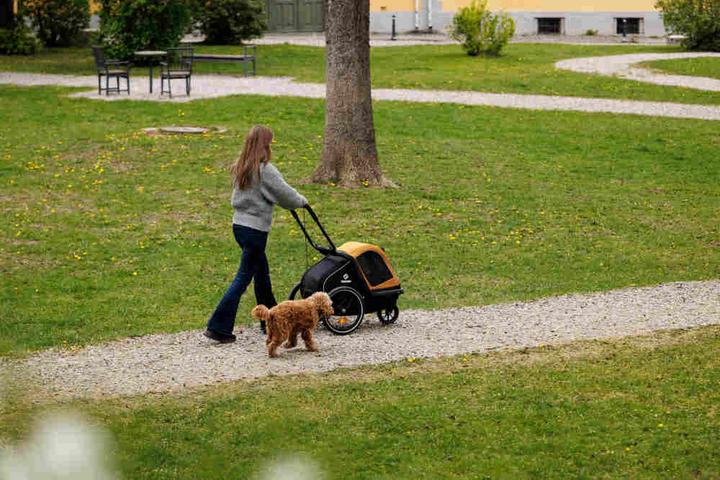 Image du produit hamax Dog Trailer Milou