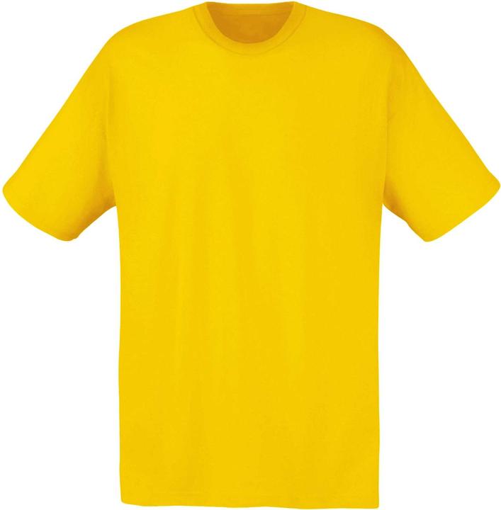 Tournesol