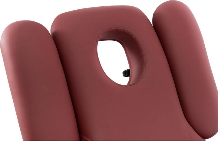 Produktbild Physa Massageliege Massagetisch Massagebank Klappbar Elektrisch 250 kg Bordeaux