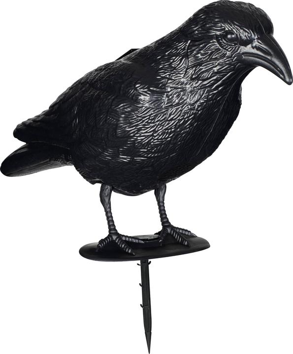 Produktbild Gardigo Vogelvertreiber