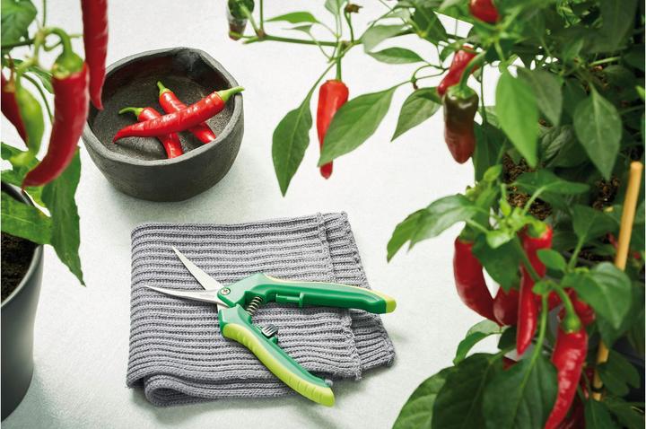 Image du produit Romberg Ciseaux de récolte Curved