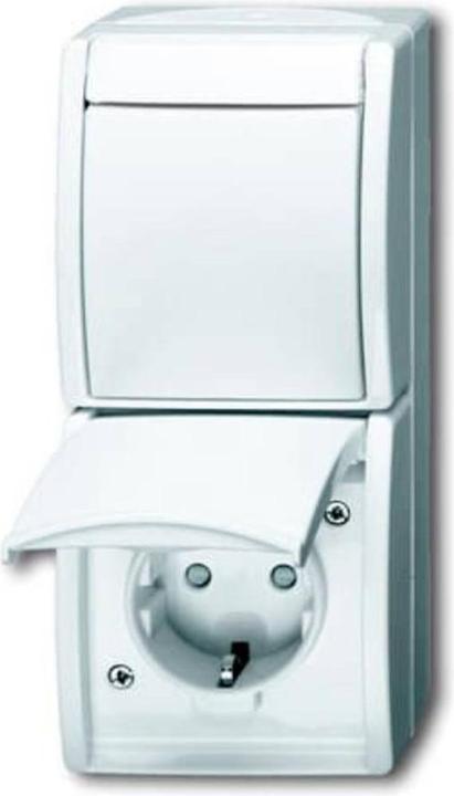 Actual product image Busch-Jaeger Combination