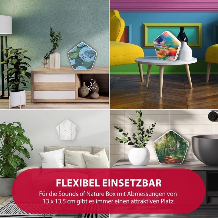 Immagine prodotto Olympia Olymp Nature BOX