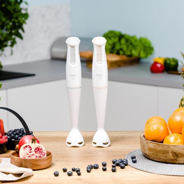 Produktbild Zelmer ZHB4560S Pulsar