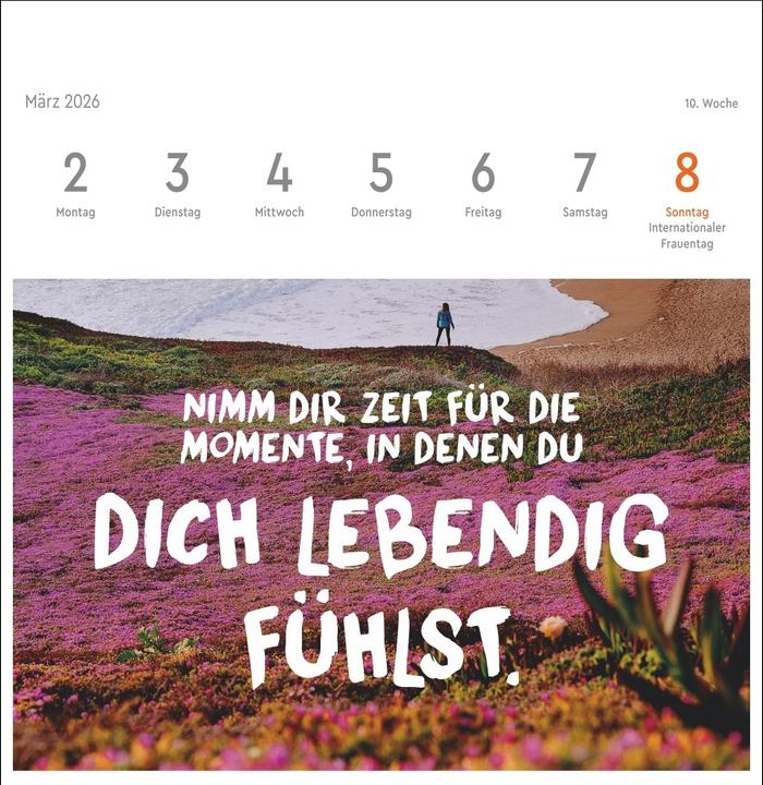 Produktbild Visual Statements Premium-Postkartenkalender 2026 (16.5 x 17.7 cm)