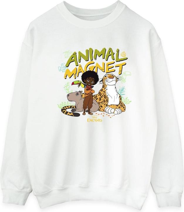 Disney Encanto Animal Magnet Sweatshirt (XL)