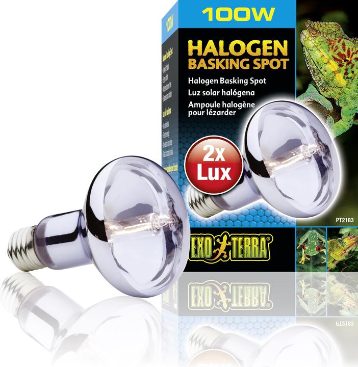 Actual product image Exo Terra Sun Glo daylight halogen lamp 50W (UVB, UVA)