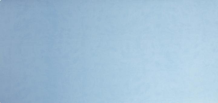 Image du produit Exacompta BEEBLUE - Sous-main (40 x 80 cm)