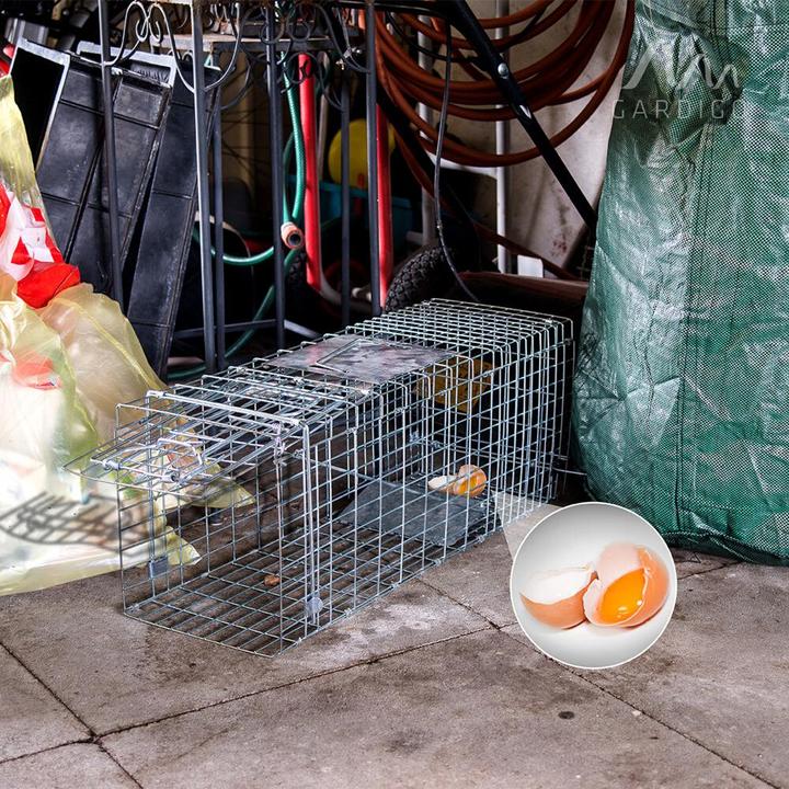 Actual product image Gardigo Marten live trap