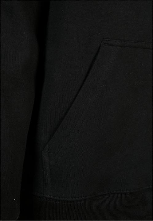 Produktbild Cayler & Sons Can't Stop Box Hoody (XS)