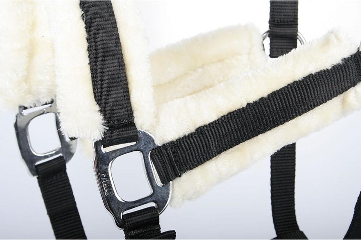 Produktbild Harry's Horse halfter und longiergurt für pferde soft