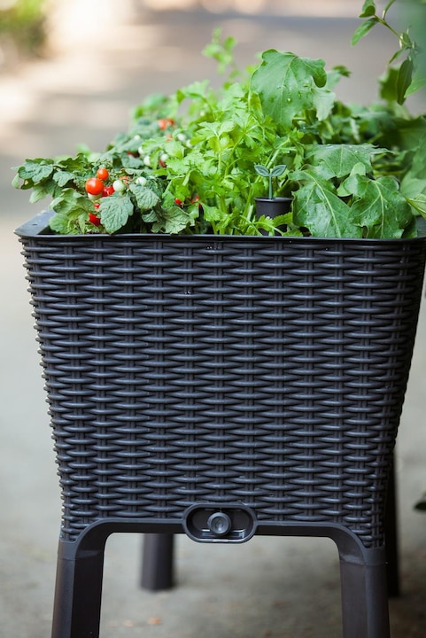 Produktbild Keter Easy Growing