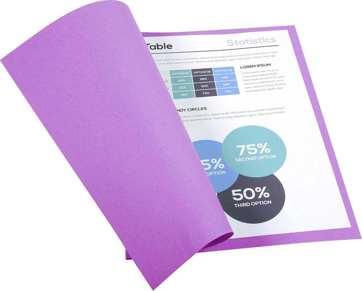 Produktbild Exacompta Sammelmappen - Aktendeckel (24 x 32 cm, 100 x)