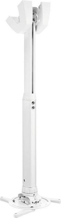 Actual product image Vogels Ppc-1555 (Ceiling)