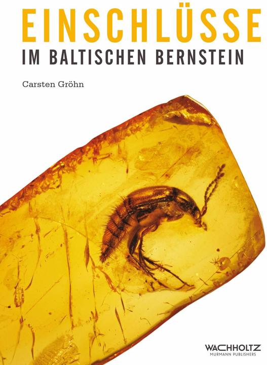 Produktbild Einschlüsse im baltischen Bernstein (Deutsch, Carsten Gröhn, 2015)