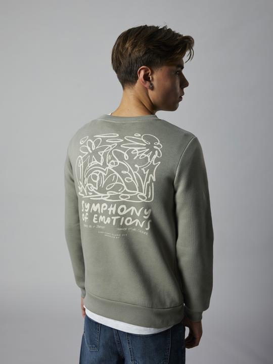 Produktbild Lmtd Rückenprint Sweatshirt (134, 140)