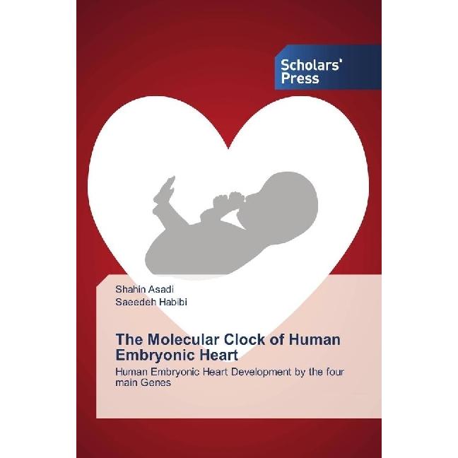 The Molecular Clock of Human Embryonic Heart, Fachbücher von Saeedeh Habibi, Shahin Asadi