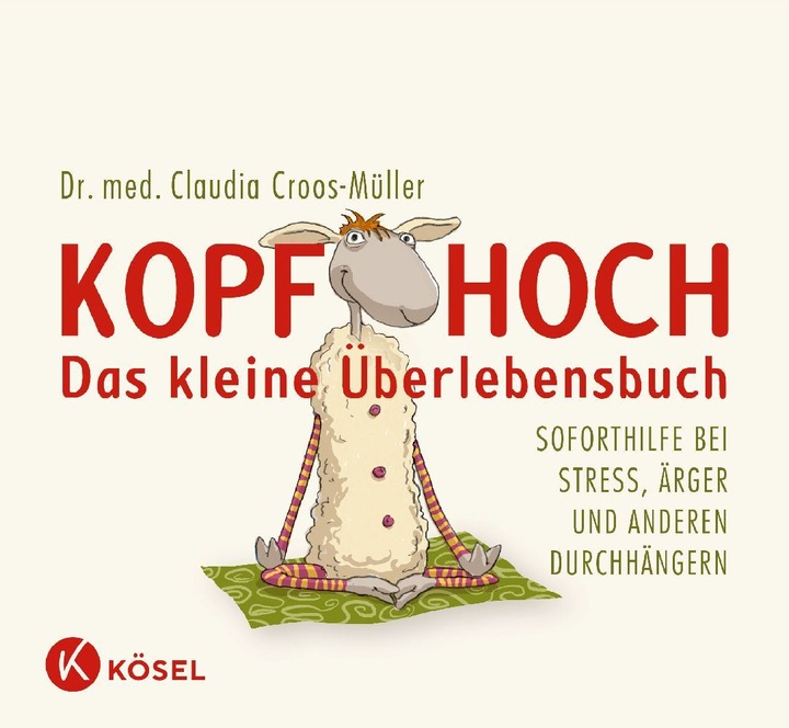 Produktbild Kopf hoch das kleine Überlebensbuch (Deutsch, Claudia Croos-Müller, 2011)