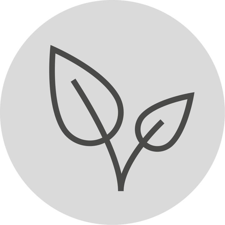 Image du produit WMF Verre (0.50 l)