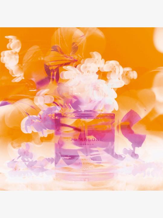 Immagine prodotto Jo Malone Osmanthus Blossom (Eau de cologne, 100 ml)