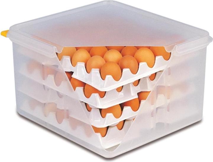 APS 10 Lagen zu Eier-Box, passend zu Artikel Nr. 82419