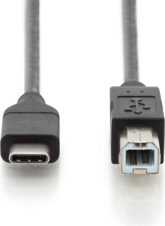 Image du produit Digitus USB C – USB B (1.80 m, USB 2.0)
