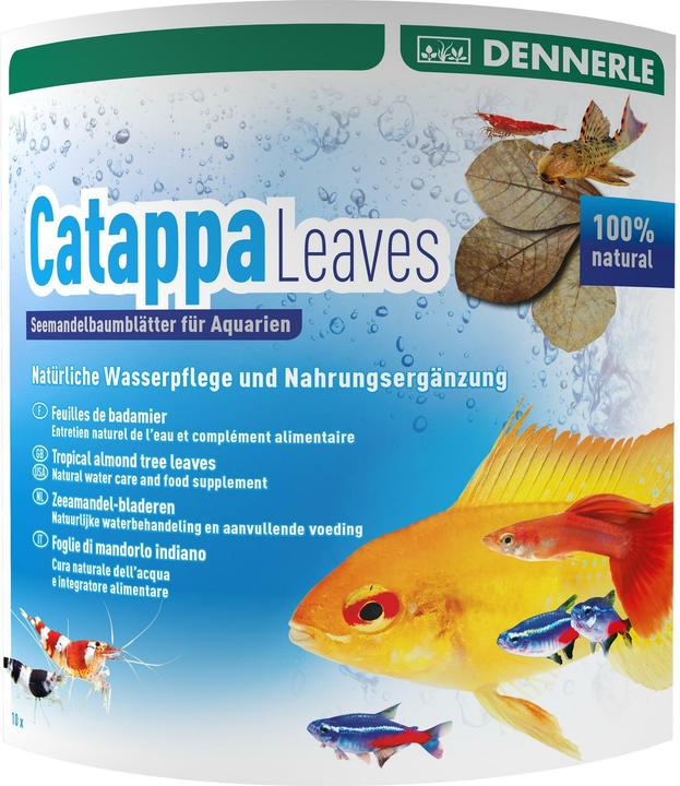 Dennerle AquaRico Catappa Leaves (Wasseraufbereitung Aquarium, Wasserpflege Aquarium)