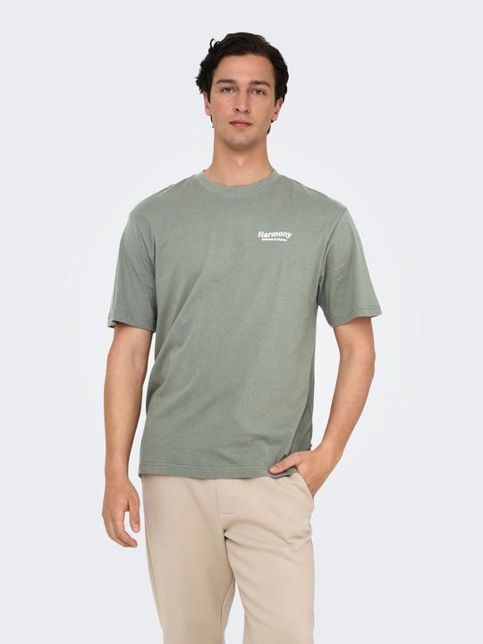 Produktbild Only & Sons Onskeane Rlx Ss Print Tee Noos (M)