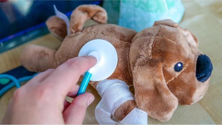Produktbild Clementoni Entdecke die Welt der Tiermedizin