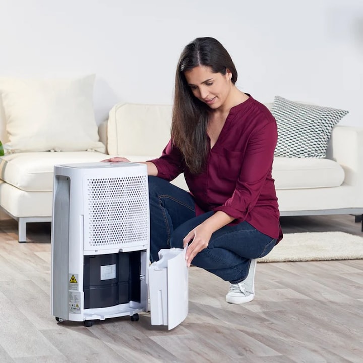 Produktbild Taurus DH2201 (45 m², 21.60 l/24h)