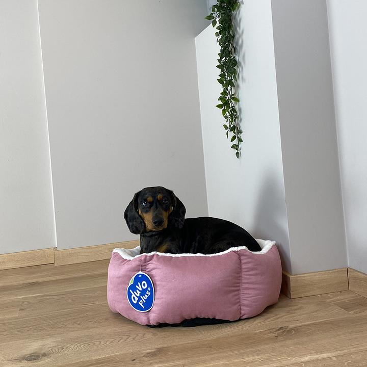 Produktbild Duvoplus Hexa (Hund)