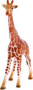 Image du produit Schleich Girafe taureau