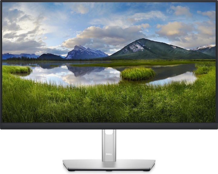 Dell P2422HE (1920 x 1080 Pixel, 23.80")