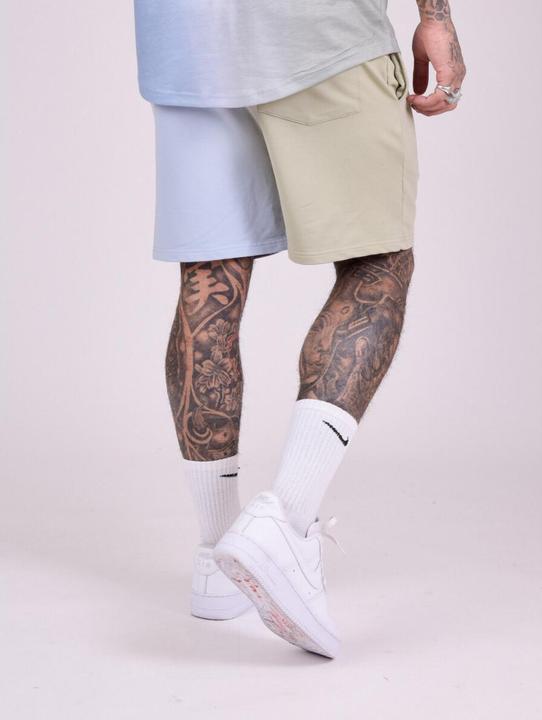Image du produit Project X Paris Short bicolore dégradé (XL)