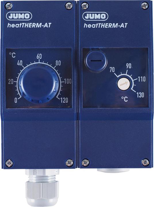 Actual product image Jumo 60003196